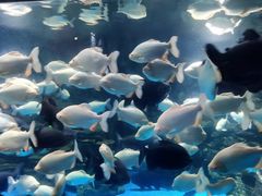 -多彩贵州城极地海洋世界