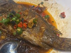 -宴来湘聚·湘粤菜(国投财富广场店)