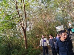 -五凤山森林公园