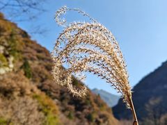-抱龙峪