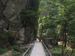 -茅兰沟国家森林公园