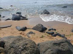 -白沙门生态公园