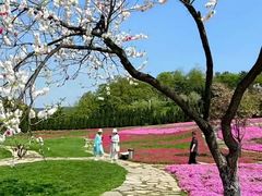 -棒棰岛宾馆景区