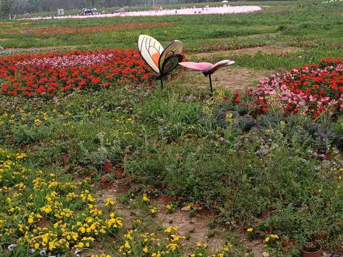 浪漫遇花村-"就在秀丽东方对面～大众买票35.8.门口."-大众点评移动版