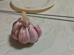 -老字号老马炕锅烤肉城