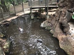 -卡塞拉自然公园