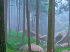 -玉苍山国家森林公园