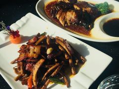 -云中小雅