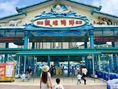 -海合安成都极地海洋公园