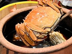 -金龙·打边炉(南京西路店)