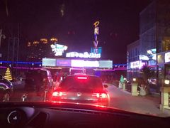 -枫花园汽车电影院(朝阳公园店)