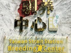 -广东惠东海龟国家级自然保护区