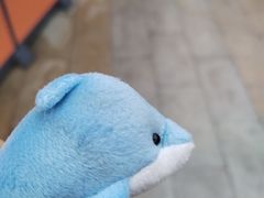-海合安武汉极地海洋公园