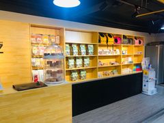 -猫十亿·布偶金渐层·曼基康矮脚猫舍(青年路店)