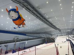 -哈尔滨热雪奇迹