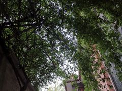 -上海孙中山故居纪念馆