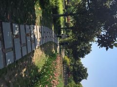 上海鲜花港-上海鲜花港