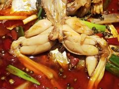 -宽口美蛙鱼头(大唐西市店)