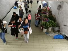 -锦江乐园(地铁站)