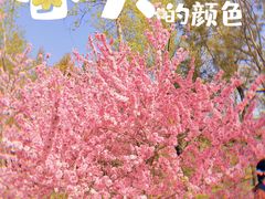 -国家植物园