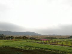 -光明小镇欢乐田园