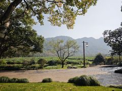 -中国茶叶博物馆(双峰馆区)