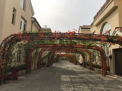 -大连罗马假日酒店温泉