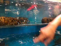 -潮喜竹溪荔湖酒家(荔枝湾店)