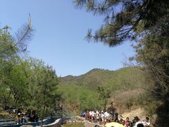 -山叶口景区
