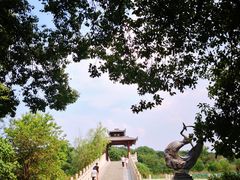 -东湖落雁景区