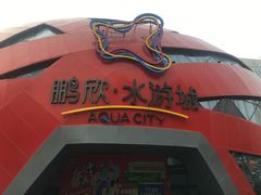 -鹏欣水游城