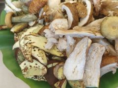 -野菌园·野生菌火锅首创第一家(关兴路总店)