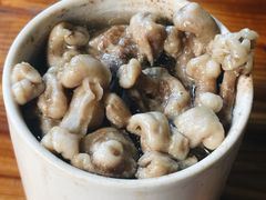 -广达眼镜炖罐(广达店)