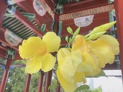 -厦门园林博览苑