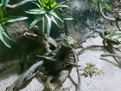 -常州海昌海洋探索馆