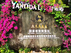 -呀诺达热带雨林