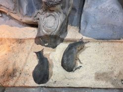 -Zoolung Zoolung动物主题公园(海信广场店)