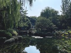 -秋霞圃
