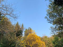 -广州市白云山风景名胜区