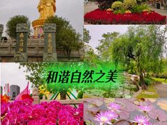 -广州莲花山旅游区