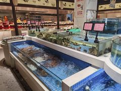 -渔人码头(中南店)