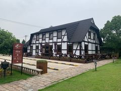 -金山农民画村-枫泾波兰倒置屋