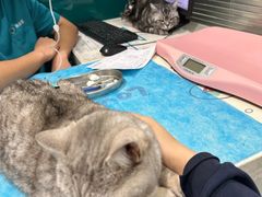 -美迦爱-牙专科·兔科·骨科诊疗中心(北苑店)