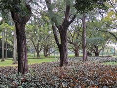 -云溪植物园