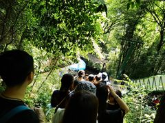 -茶颜悦色(登高路上店)