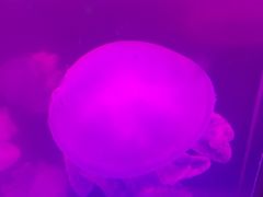 -优托邦(长兴路店)