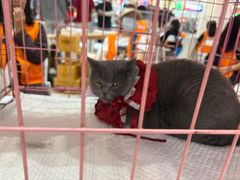 -银泰百货(北京大红门店)