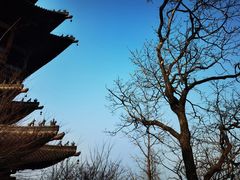 -杭州半山国家森林公园