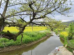 -婺源风景区