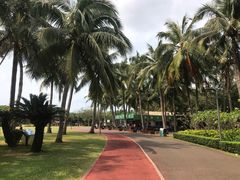 -万绿园